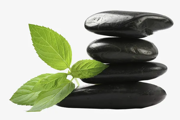 一推黑色石头上出现的绿色生命免抠