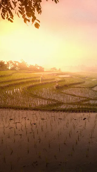 稻田H5背景高清