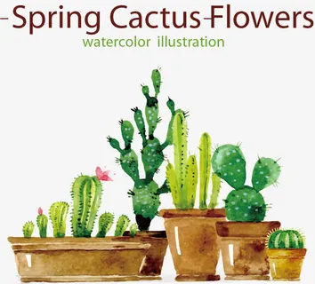 仙人掌图片免抠