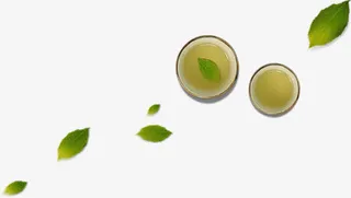 绿叶漂浮免扣png素材免抠