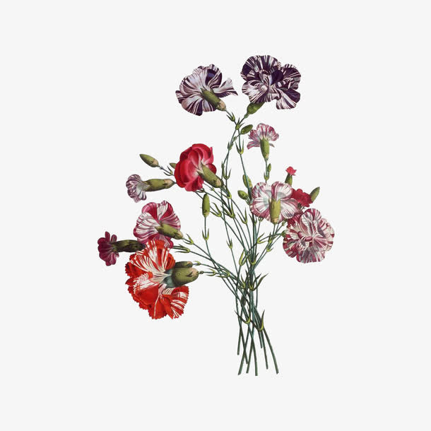 一束鲜花免抠