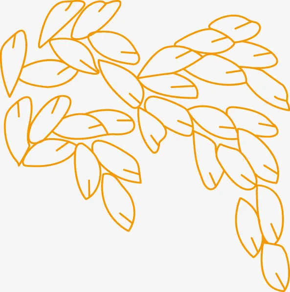 稻谷 稻米 稻穗 禾稻 大米免抠