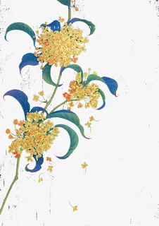桂花免抠