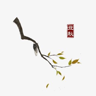 二十四节气免抠