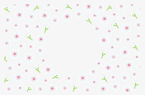 白色小清新樱花背景