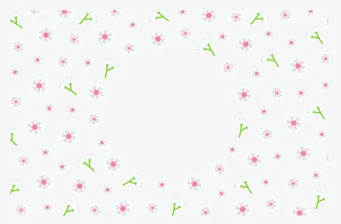 白色小清新樱花背景