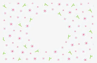 白色小清新樱花背景