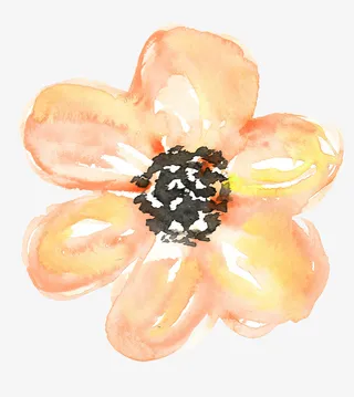 唯美水彩花朵素材免抠