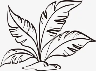 黑色矢量叶子线描图免抠png免抠