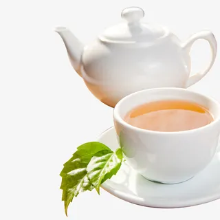 一杯茶简图免抠