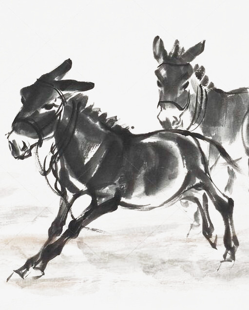 奔跑的毛驴免抠