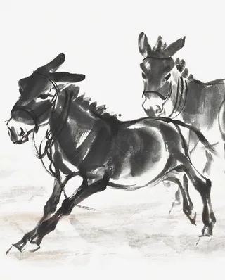 奔跑的毛驴免抠