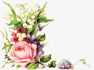 手绘兰花鲜花素材免抠