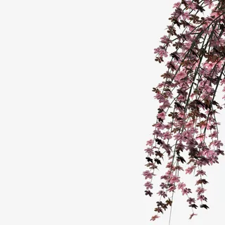 配饰剪影古风装饰图片素材免抠