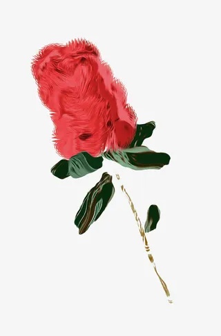 红玫瑰图案免抠