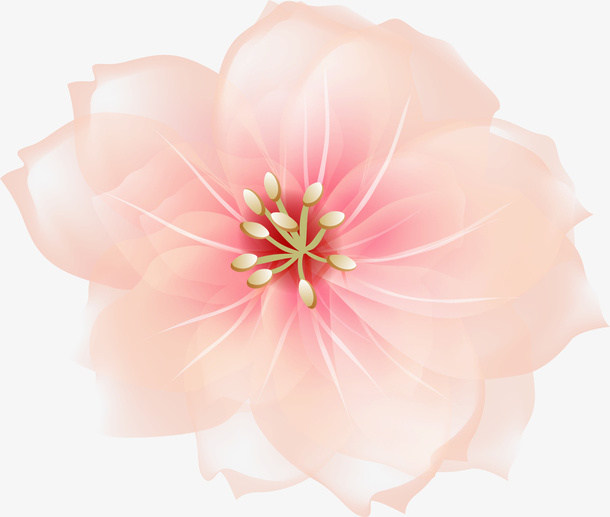 粉色美丽花朵免抠