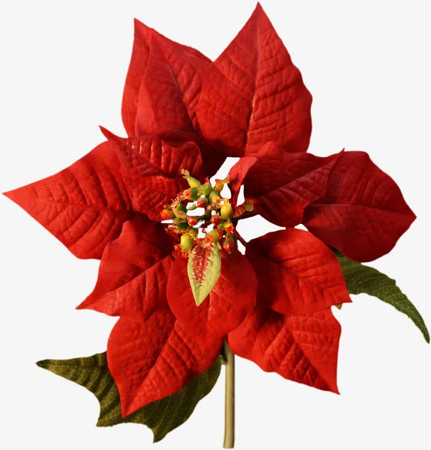 花免抠
