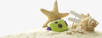 夏季清新沙滩海星免抠
