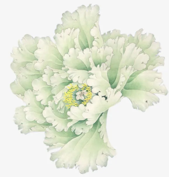 花免扣 牡丹花 png素材免抠