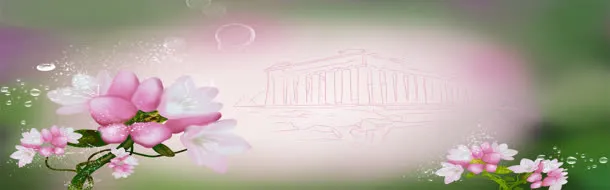 花瓣背景图