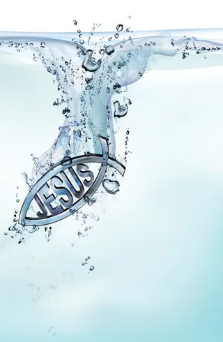 动感水花与鱼免抠