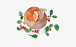 睡着的小鹿免抠