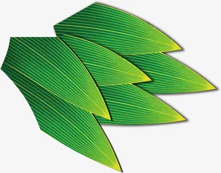 手绘端午节芦苇粽子叶免抠