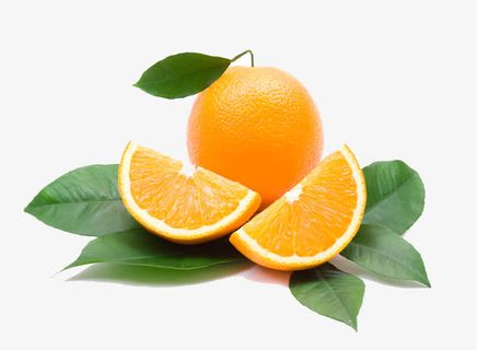 树叶上的甜橙免抠