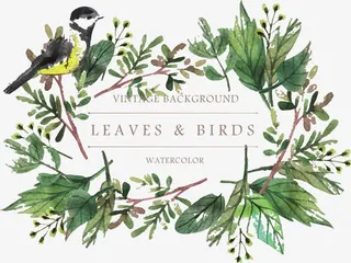 手绘花鸟素材免抠