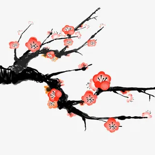 梅花免抠
