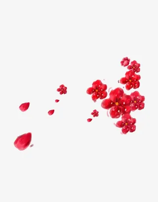 红色梅花免抠