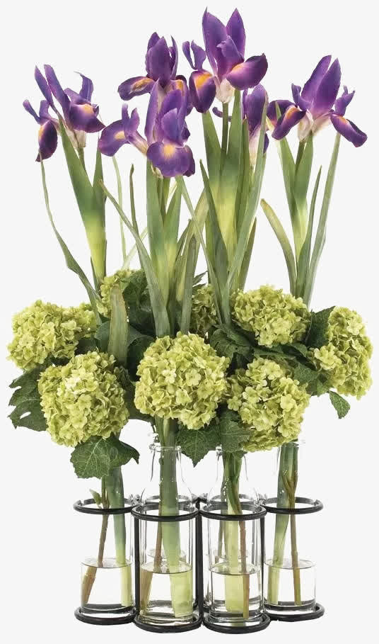 绿叶紫花植物盆栽png免抠