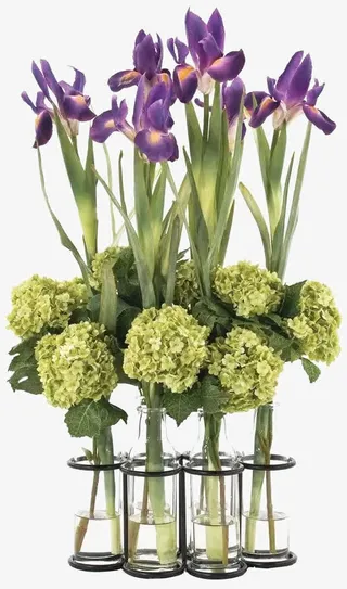 绿叶紫花植物盆栽png免抠