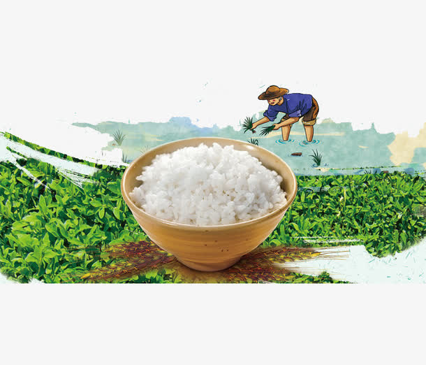 节约粮食免抠