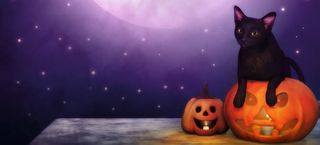 万圣节鬼节黑猫南瓜背景banner