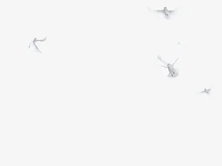 飞翔的鸽子免抠