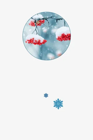 二十四节气免抠