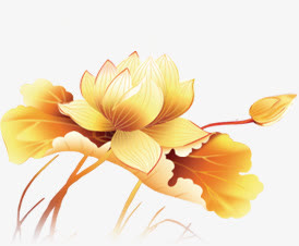 金色莲花莲叶中秋免抠