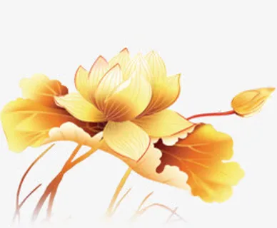 金色莲花莲叶中秋免抠