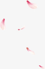 情人节粉红色花瓣飘落免抠