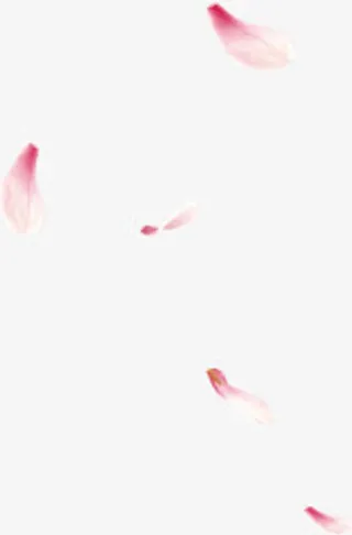 情人节粉红色花瓣飘落免抠