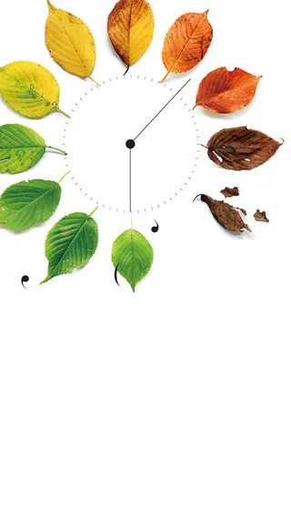 四季H5背景高清