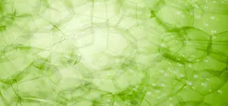 淘宝背景图高清