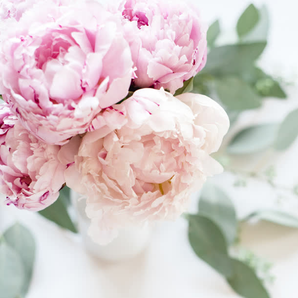 可爱唯美浪漫玫瑰花朵免抠