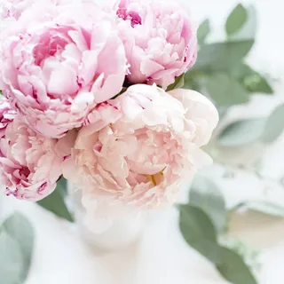 可爱唯美浪漫玫瑰花朵免抠