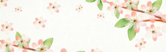 手绘优雅的花香春背景banner高清