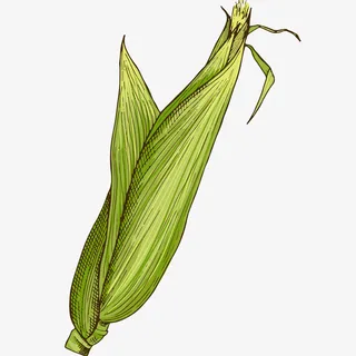 玉米秋天可爱卡通免抠