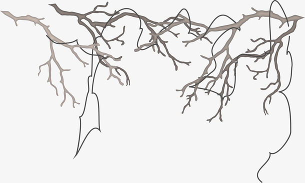 棕色简约枯树枝免抠