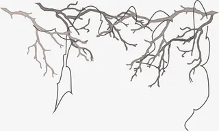 棕色简约枯树枝免抠