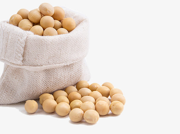 东北大豆黄豆豆子免抠
